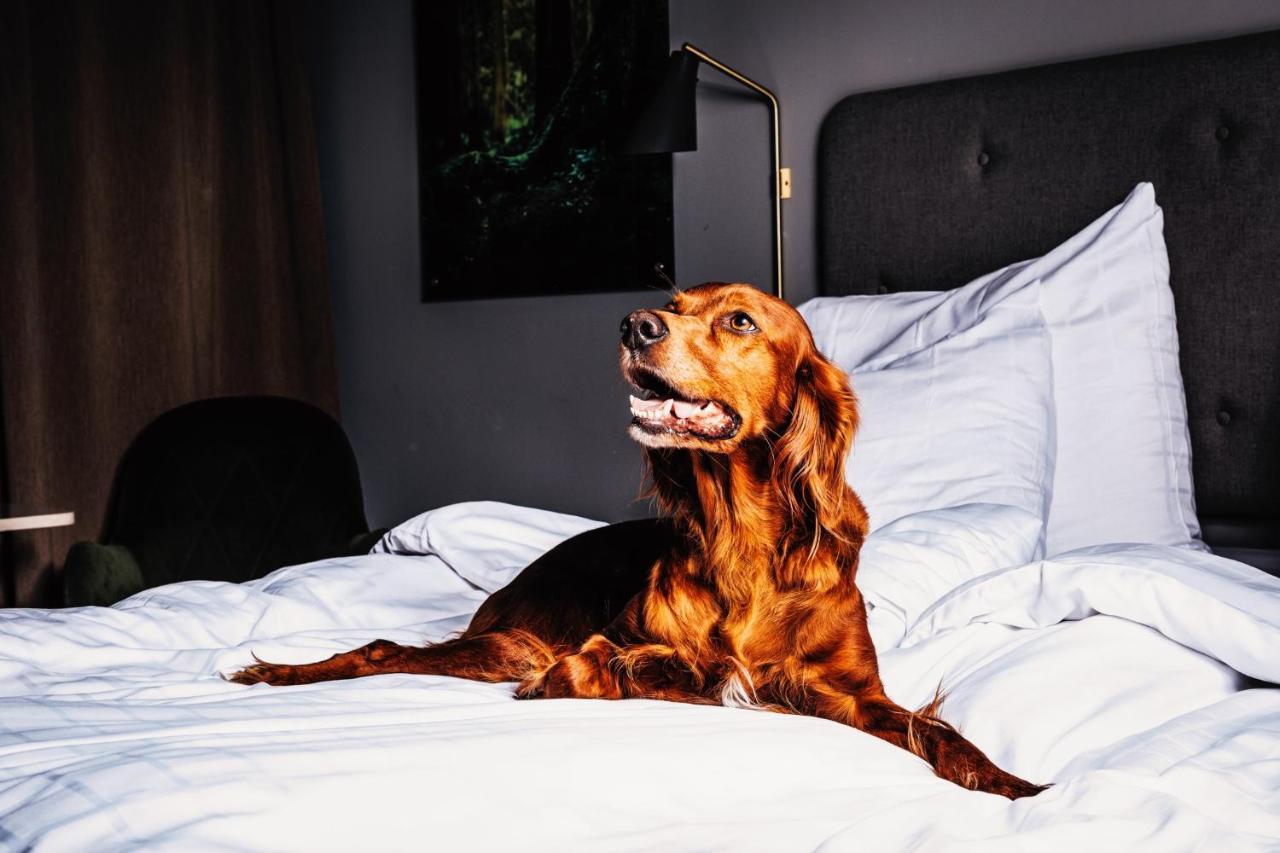 Hotell Soedra Berget Sundsvall Ngoại thất bức ảnh